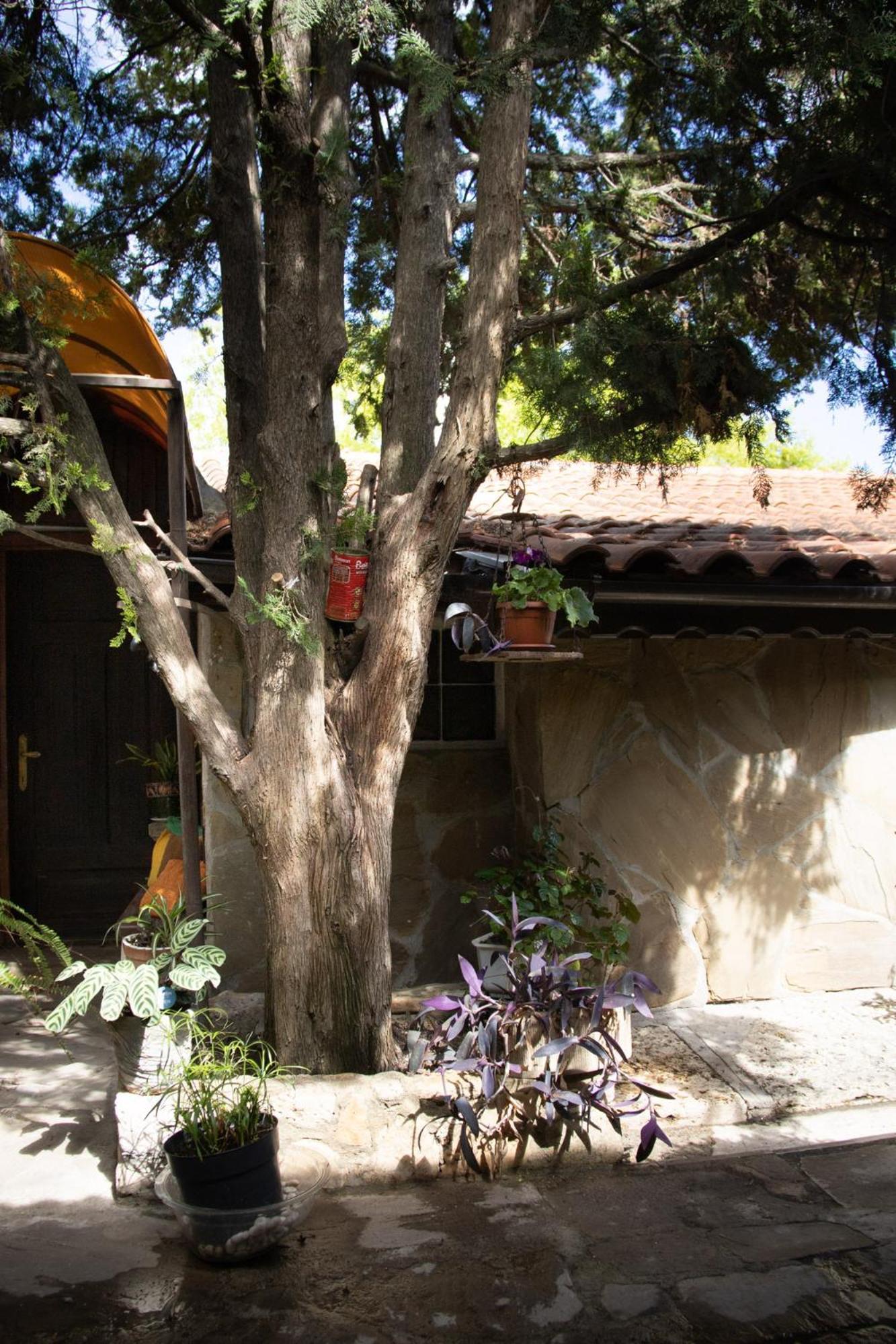 Старата Баkалия The Old Grocery, Guest Rooms Baltjik Exteriör bild